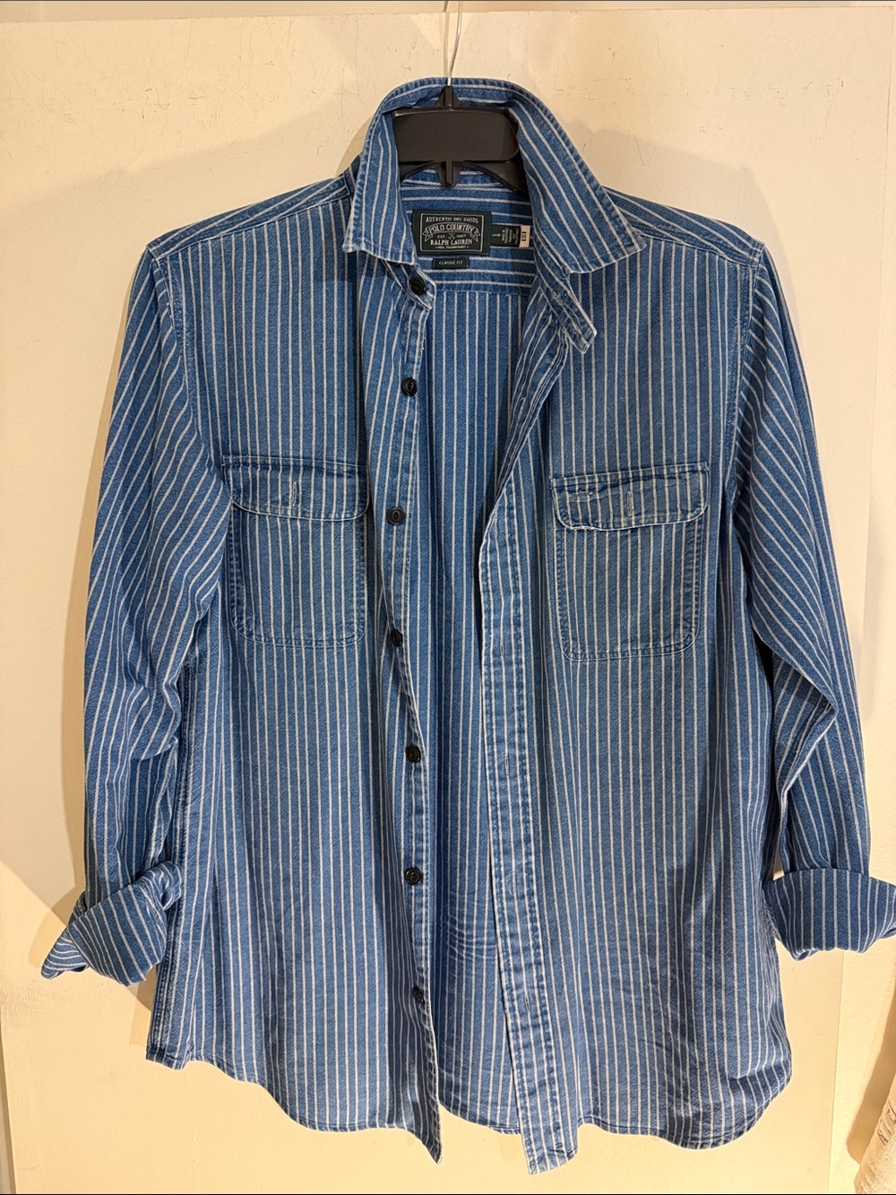 Polo by Ralph Lauren Blue and White Striped Casual Button-Down Shirt